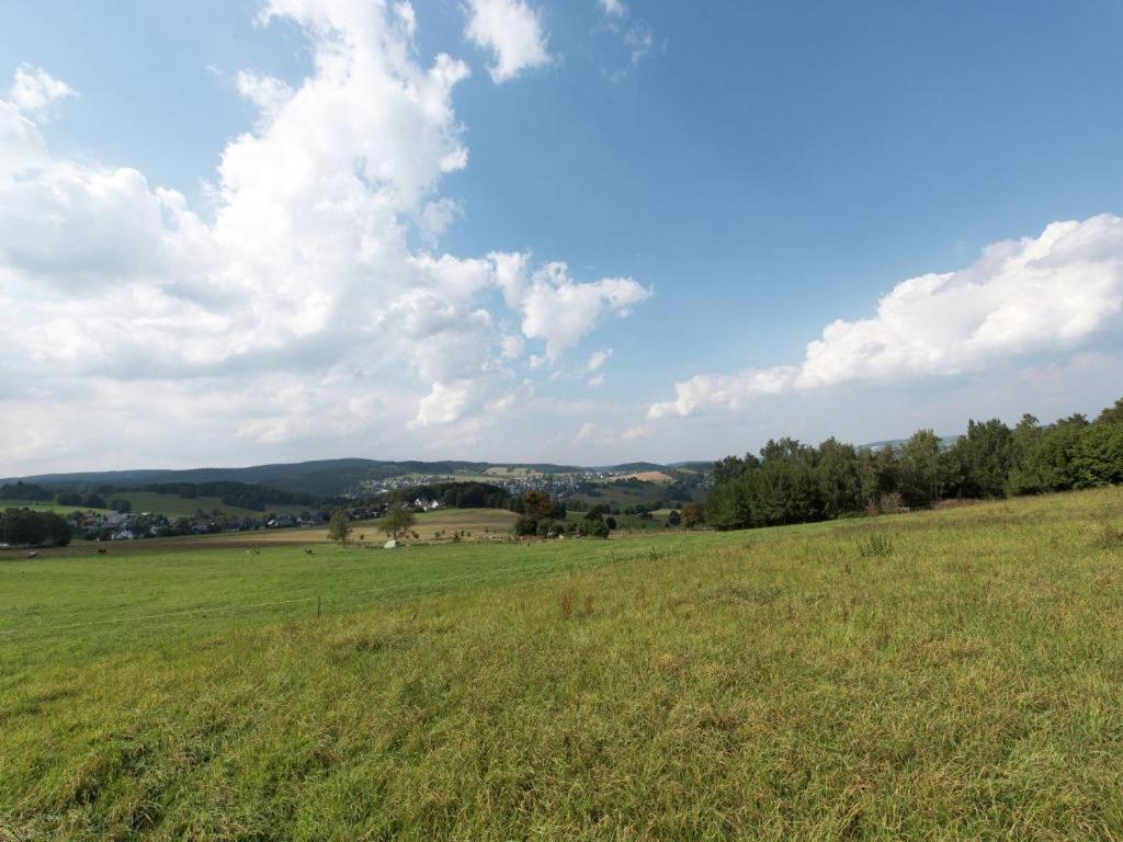 Ferienwohnung Ripa Erzgebirge In Schwarzenberg Schwarzenberg/Erzgebirge Exterior foto