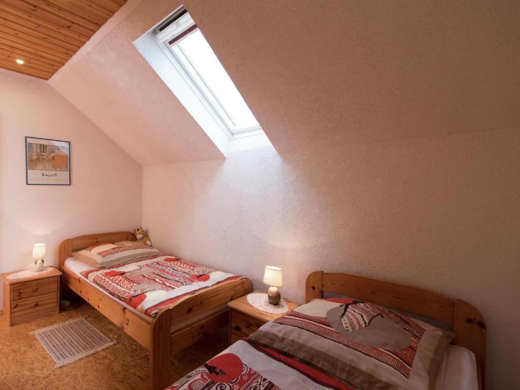 Ferienwohnung Ripa Erzgebirge In Schwarzenberg Schwarzenberg/Erzgebirge Exterior foto